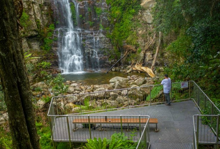 Minnamurra falls walk 001 from NPWS website